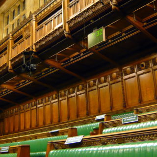 backbencher