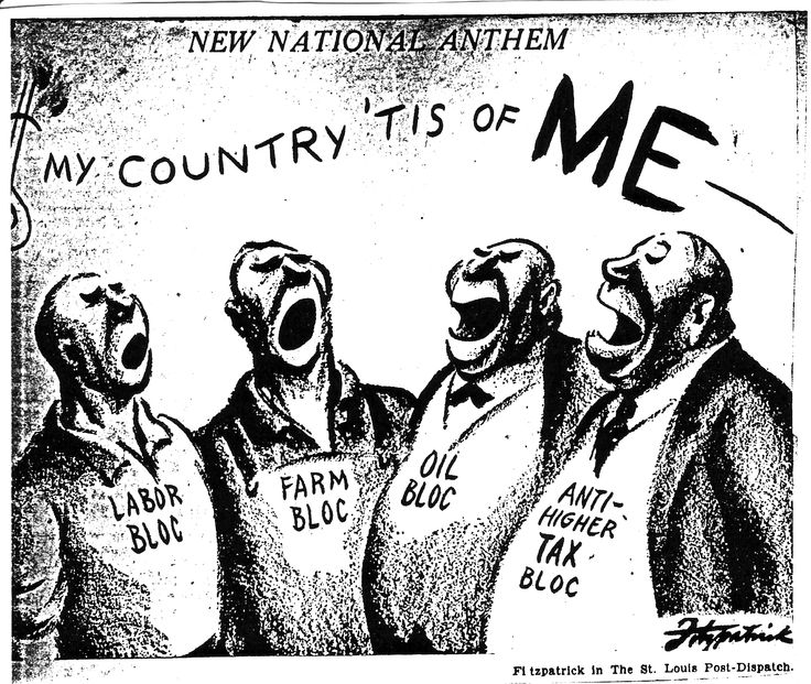 Peanut Politician Political Dictionary