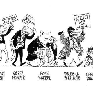 political animal