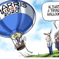 trial balloon