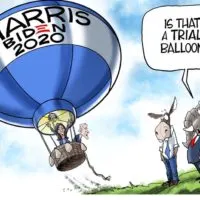 trial balloon