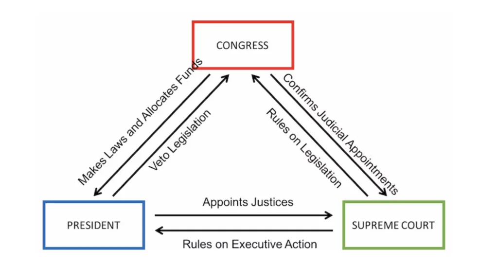 checks and balances chart