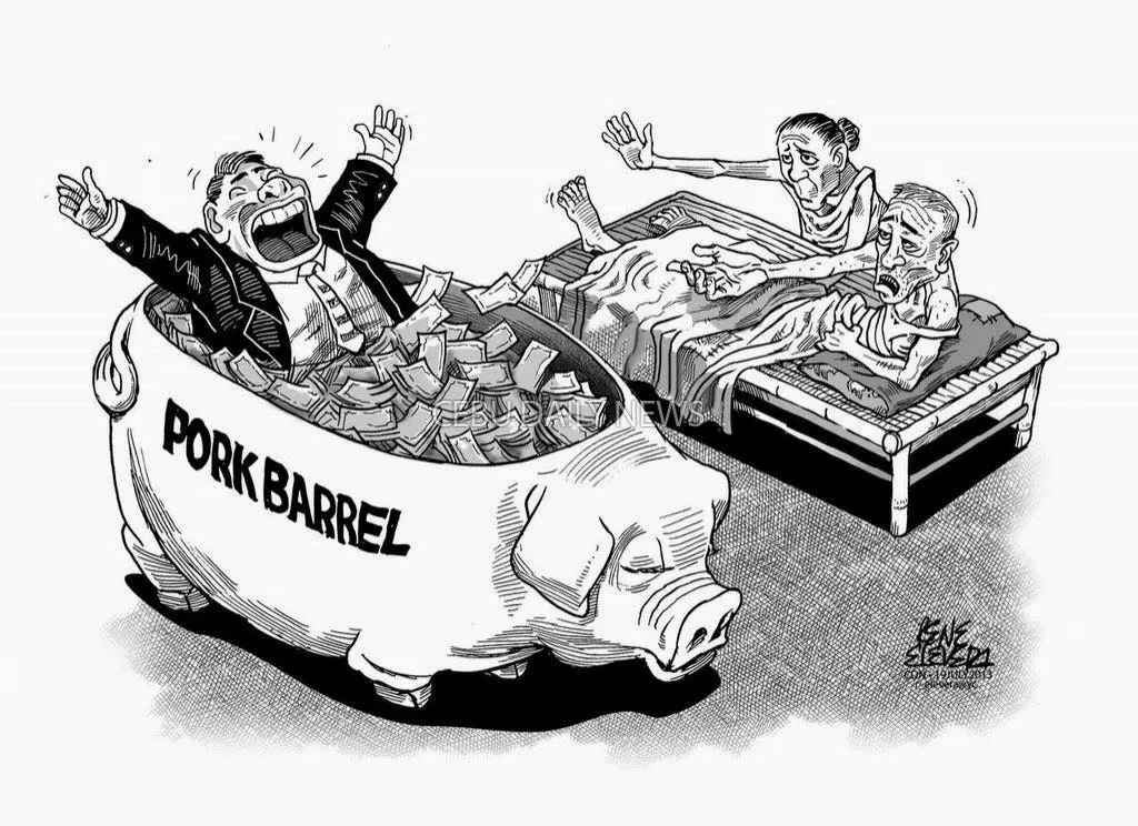 pork barrel projects